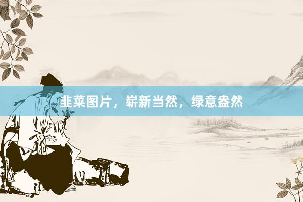 韭菜图片，崭新当然，绿意盎然