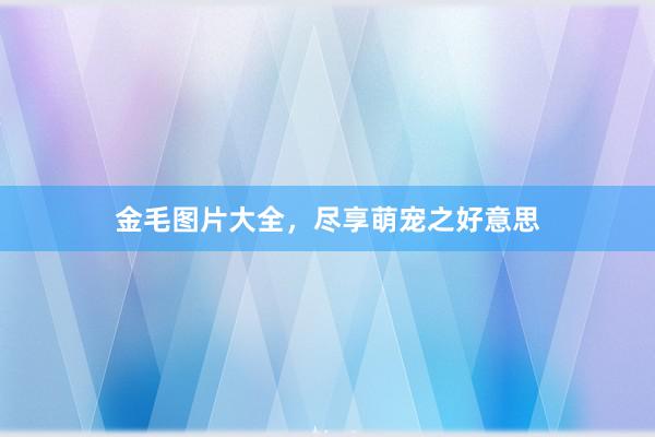金毛图片大全，尽享萌宠之好意思