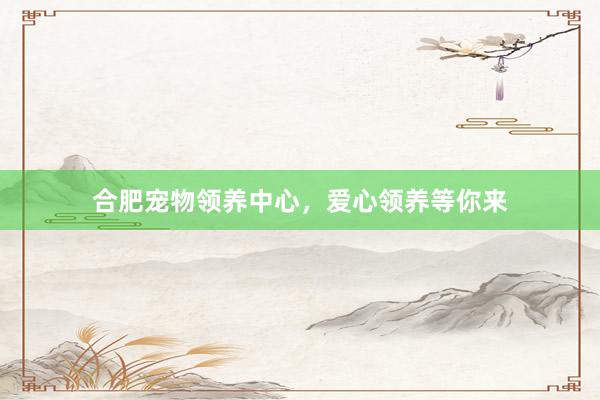 合肥宠物领养中心,爱心领养等你来