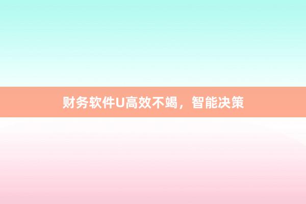 财务软件U高效不竭，智能决策